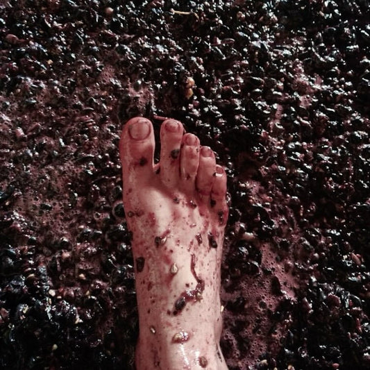 Winemaking : Dão tradition with a french luggage.